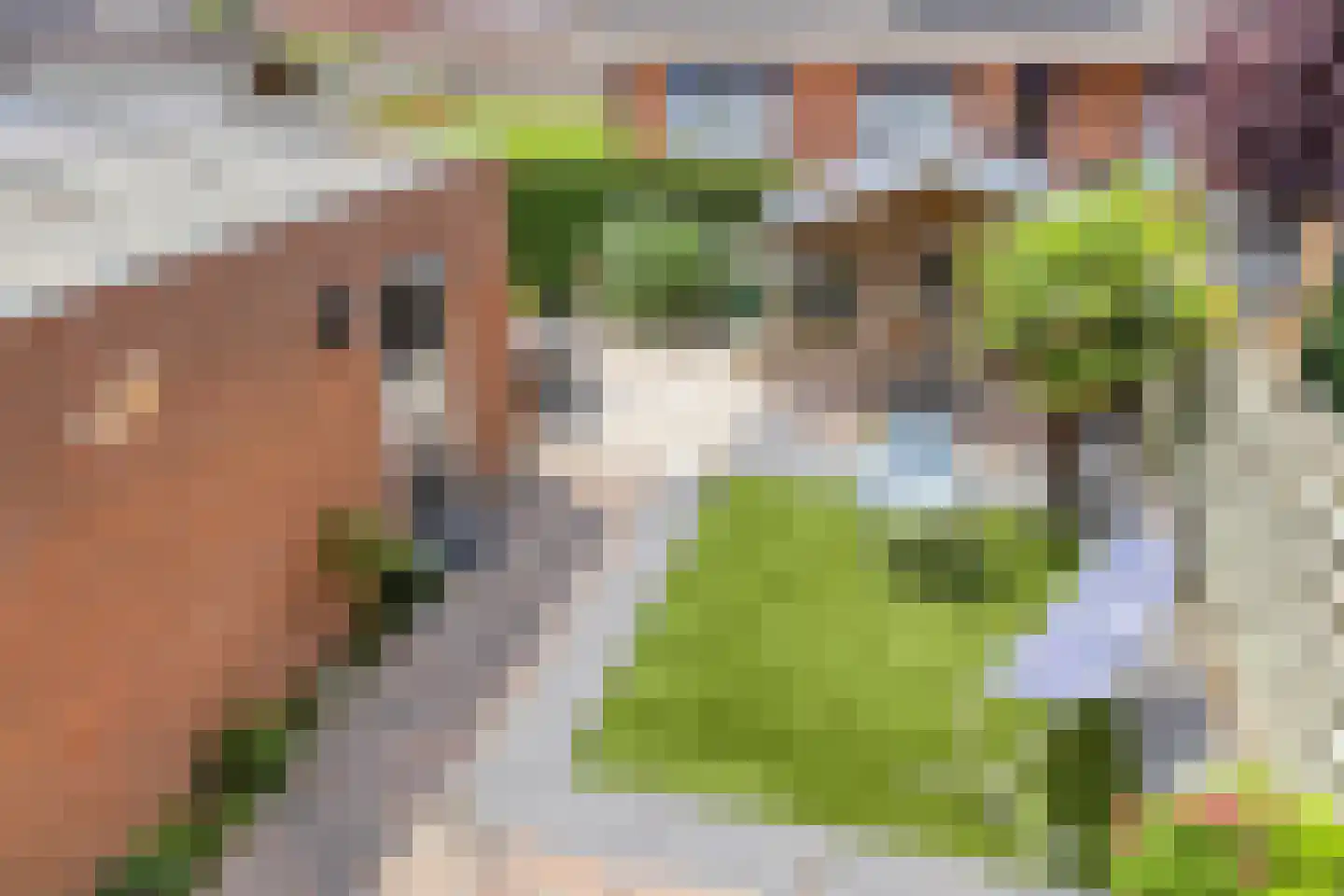 Akkerwinde 5 Millingen aan de Rijn foto 3