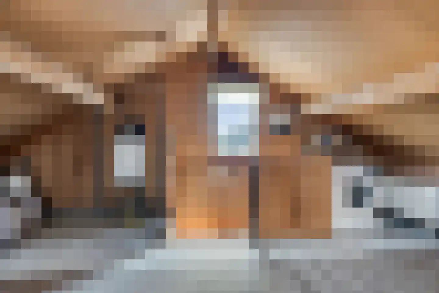 Akkerwinde 5 Millingen aan de Rijn thumbnail 33