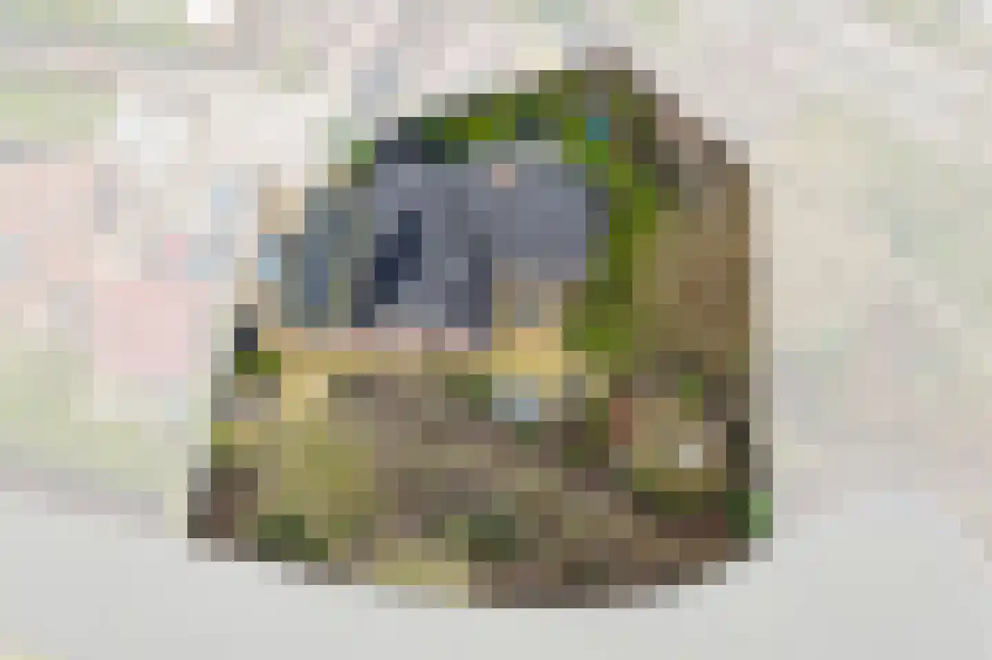 Akkerwinde 5 Werkendam thumbnail 34