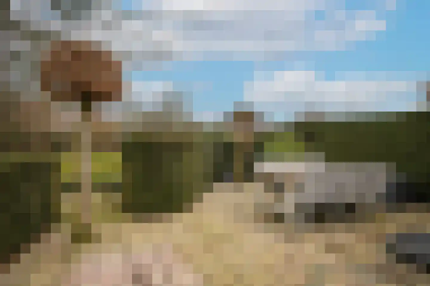 Akkerwinde 5 Werkendam thumbnail 40