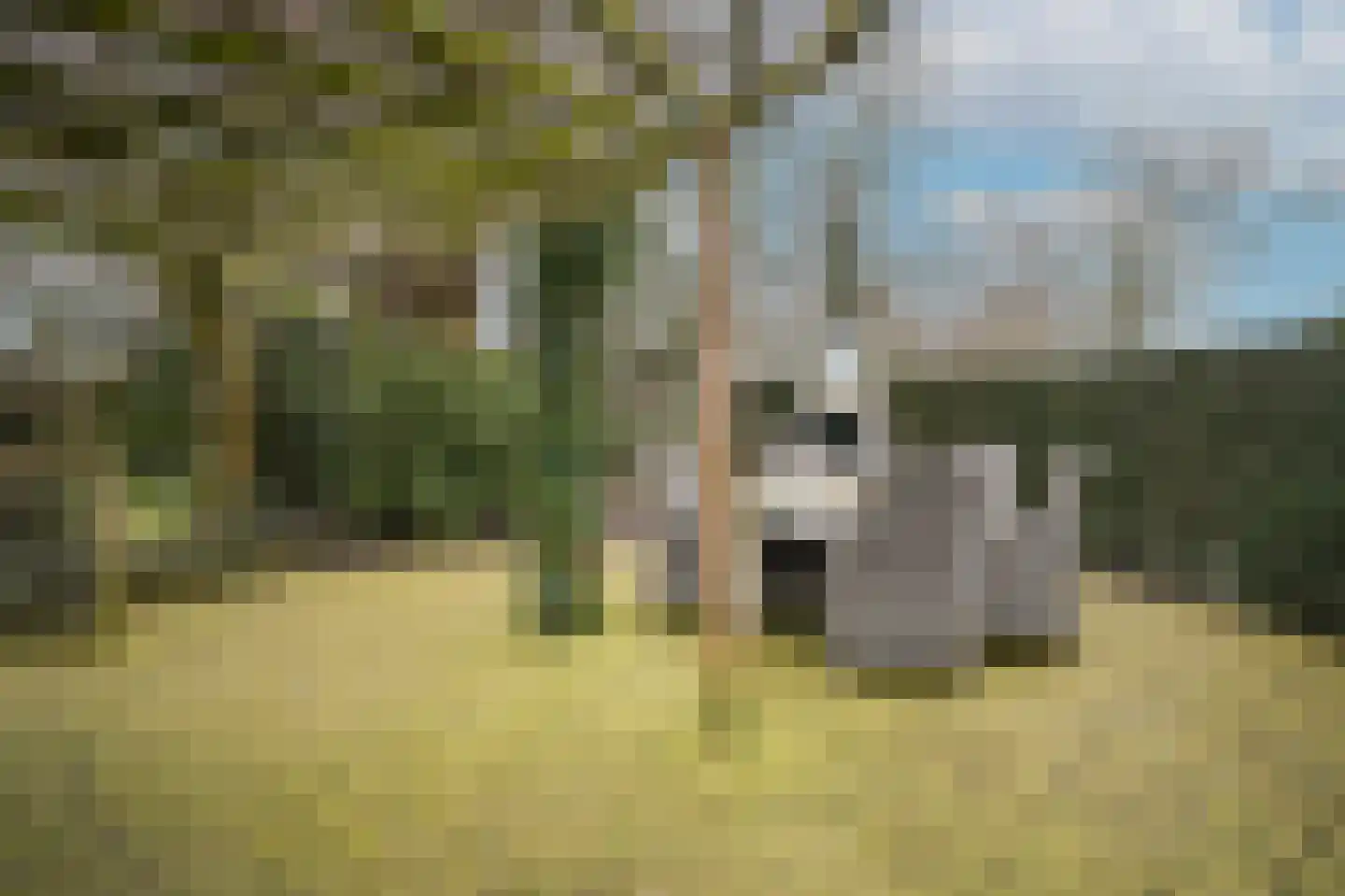 Akkerwinde 5 Werkendam thumbnail 45