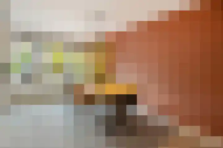 Akkerwinde 5 Wijhe thumbnail 10