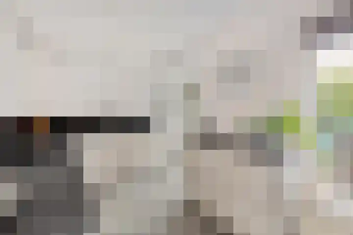Akkerwinde 5 Wijhe thumbnail 15