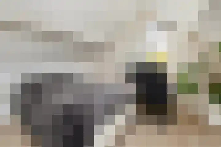 Akkerwinde 5 Wijhe thumbnail 19