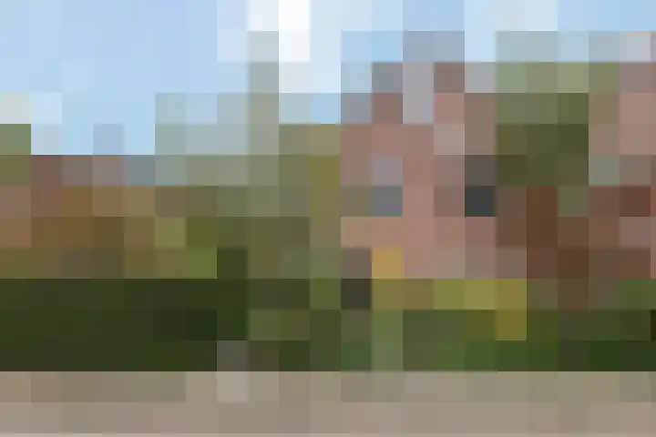 Akkerwinde 5 Wijhe foto 2