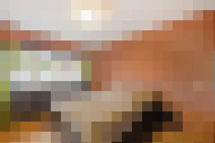 Akkerwinde 5 Wijhe thumbnail 23