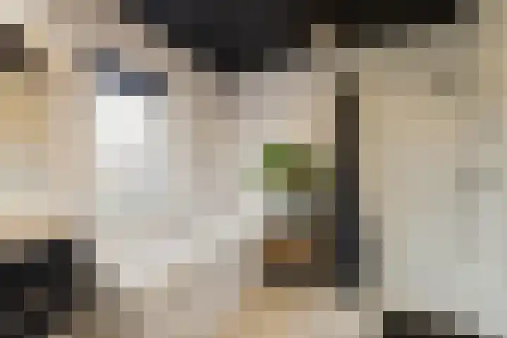 Akkerwinde 5 Wijhe thumbnail 26