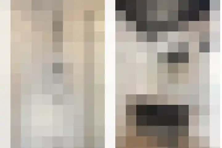 Akkerwinde 5 Wijhe thumbnail 27