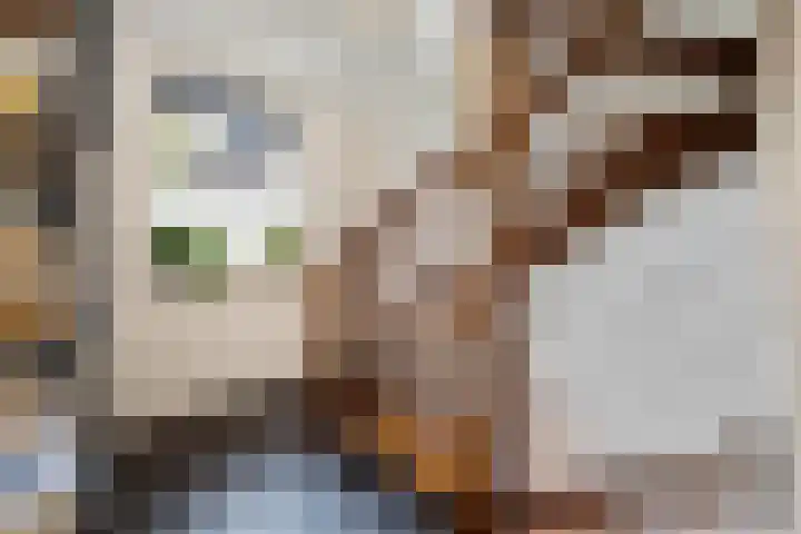 Akkerwinde 5 Wijhe thumbnail 28