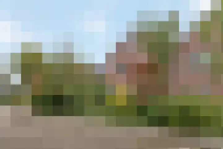 Akkerwinde 5 Wijhe foto 3