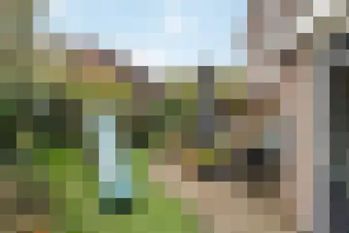 Akkerwinde 5 Wijhe thumbnail 35