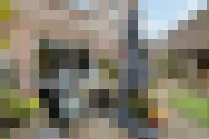 Akkerwinde 5 Wijhe thumbnail 36