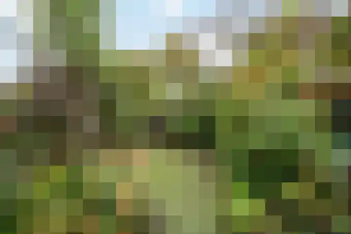 Akkerwinde 5 Wijhe thumbnail 38