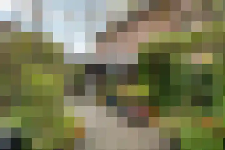 Akkerwinde 5 Wijhe thumbnail 39