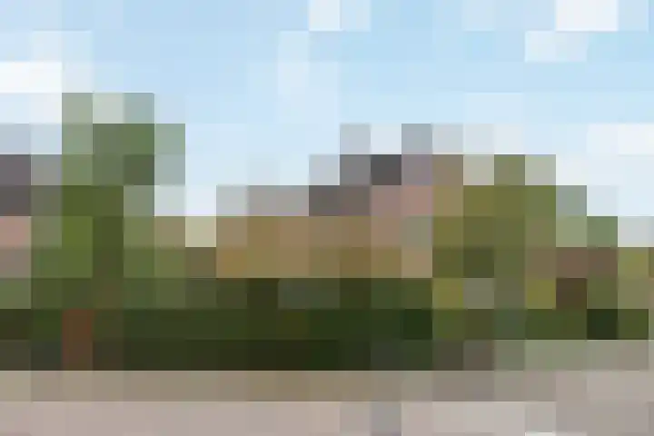 Akkerwinde 5 Wijhe thumbnail 4