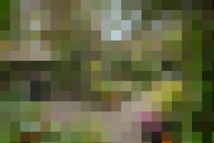 Akkerwinde 5 Wijhe thumbnail 40