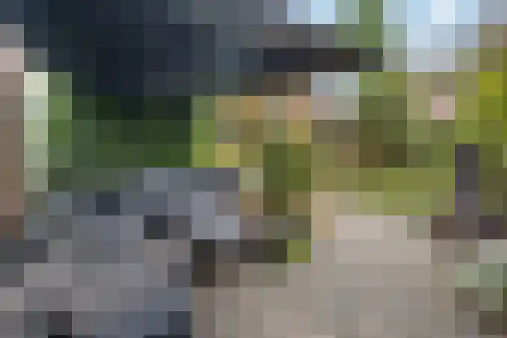 Akkerwinde 5 Wijhe thumbnail 41