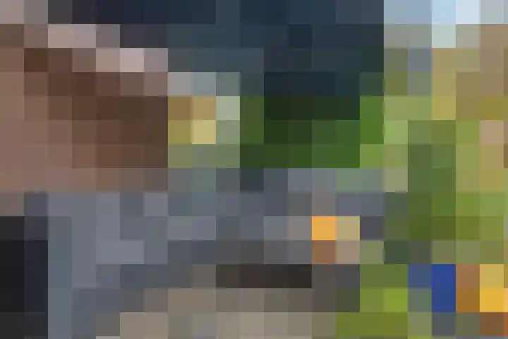 Akkerwinde 5 Wijhe thumbnail 42