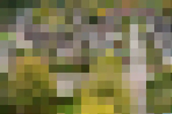 Akkerwinde 5 Wijhe thumbnail 43