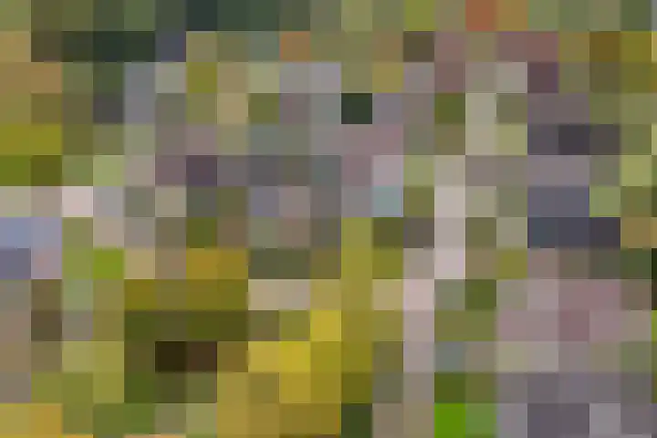 Akkerwinde 5 Wijhe thumbnail 44