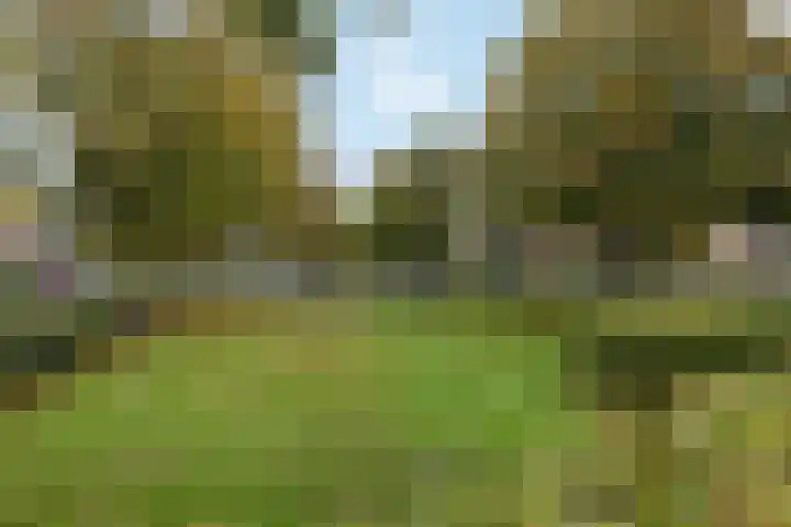 Akkerwinde 5 Wijhe thumbnail 45