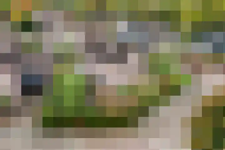 Akkerwinde 5 Wijhe thumbnail 5