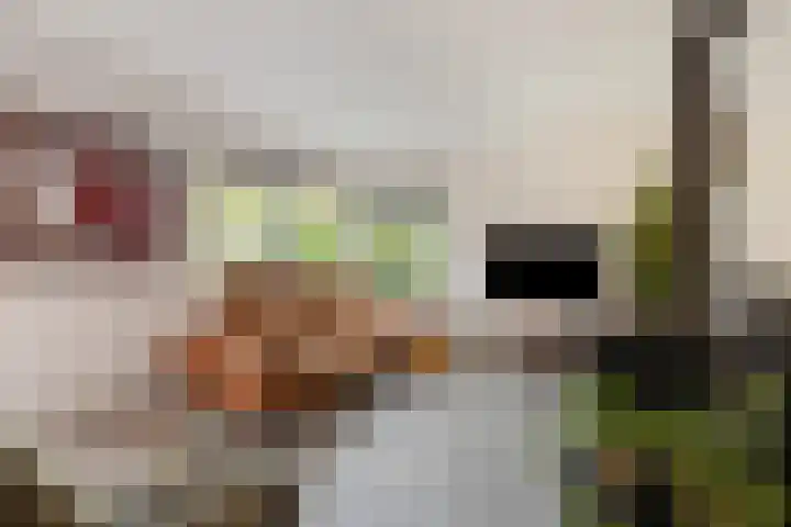 Akkerwinde 5 Wijhe thumbnail 7