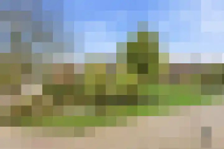 Akkerwinde 51 Alblasserdam thumbnail 17