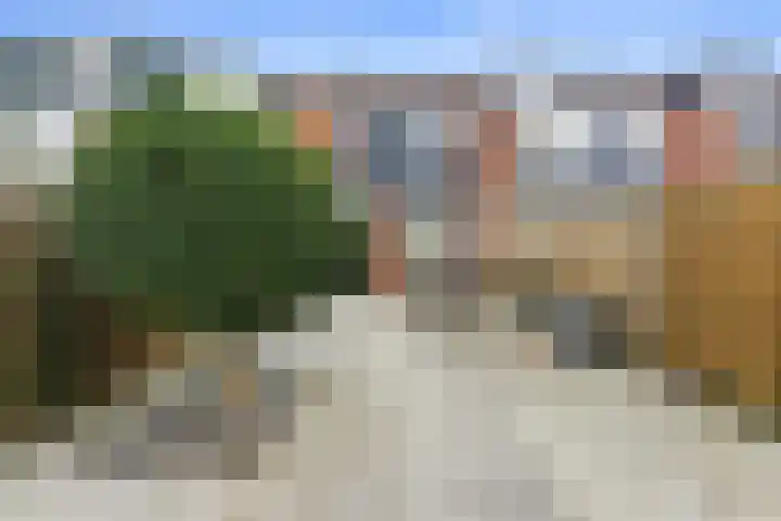Akkerwinde 51 Alblasserdam thumbnail 34