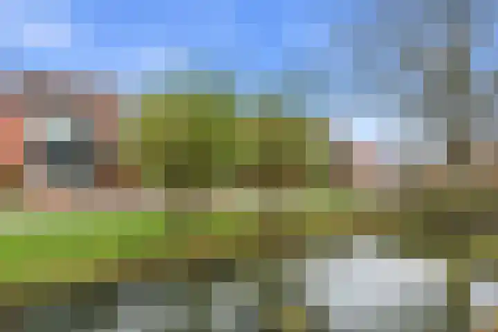 Akkerwinde 51 Alblasserdam thumbnail 37