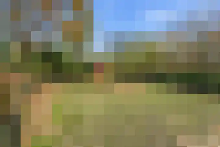 Akkerwinde 51 Alblasserdam thumbnail 38