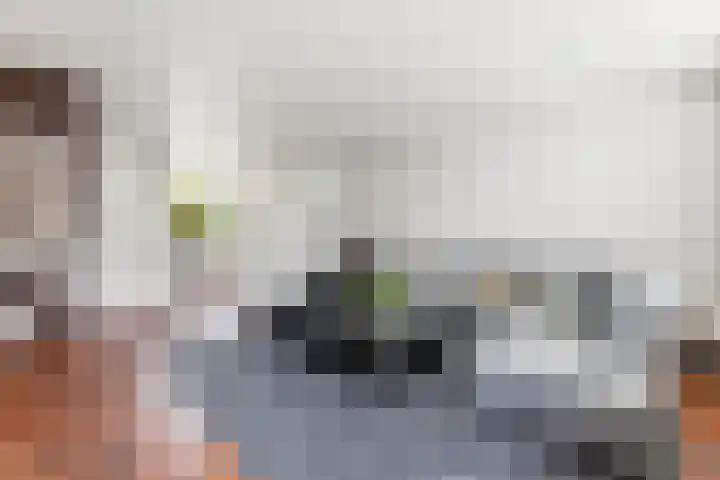 Akkerwinde 51 Alblasserdam thumbnail 8