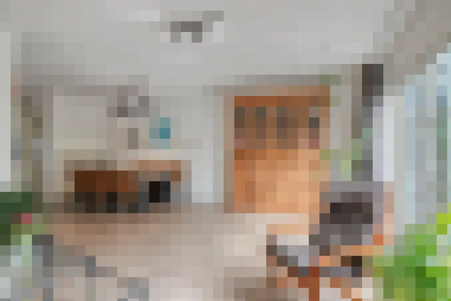 Akkerwinde 55 Best thumbnail 17