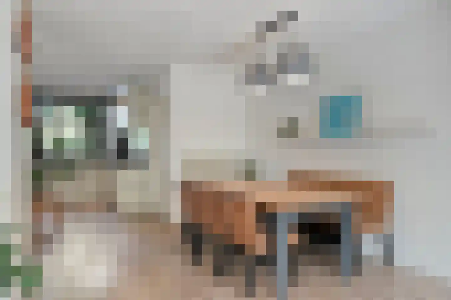Akkerwinde 55 Best thumbnail 18