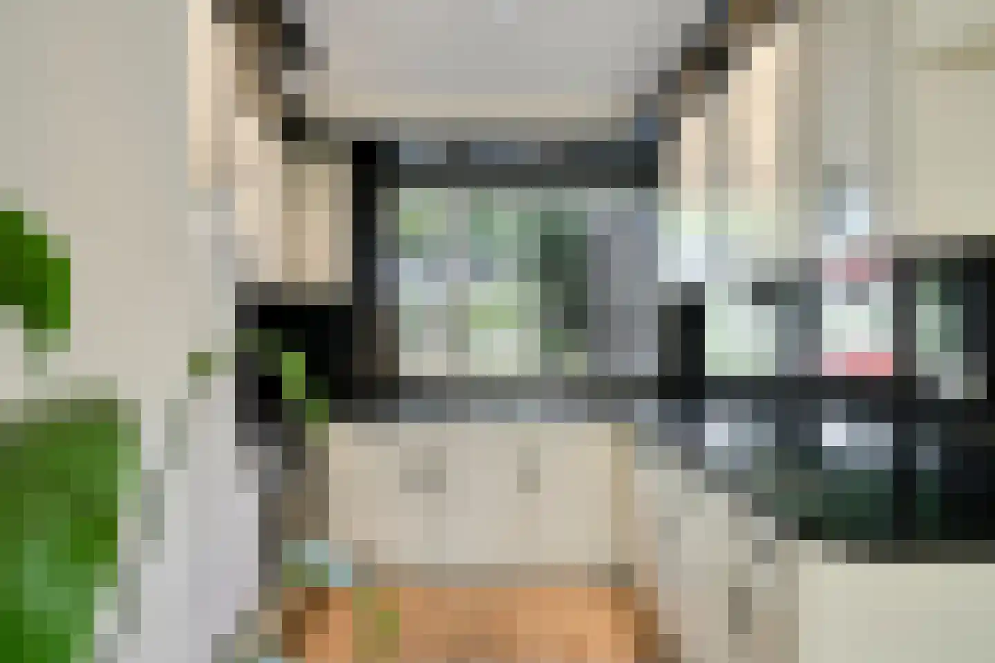 Akkerwinde 55 Best thumbnail 21
