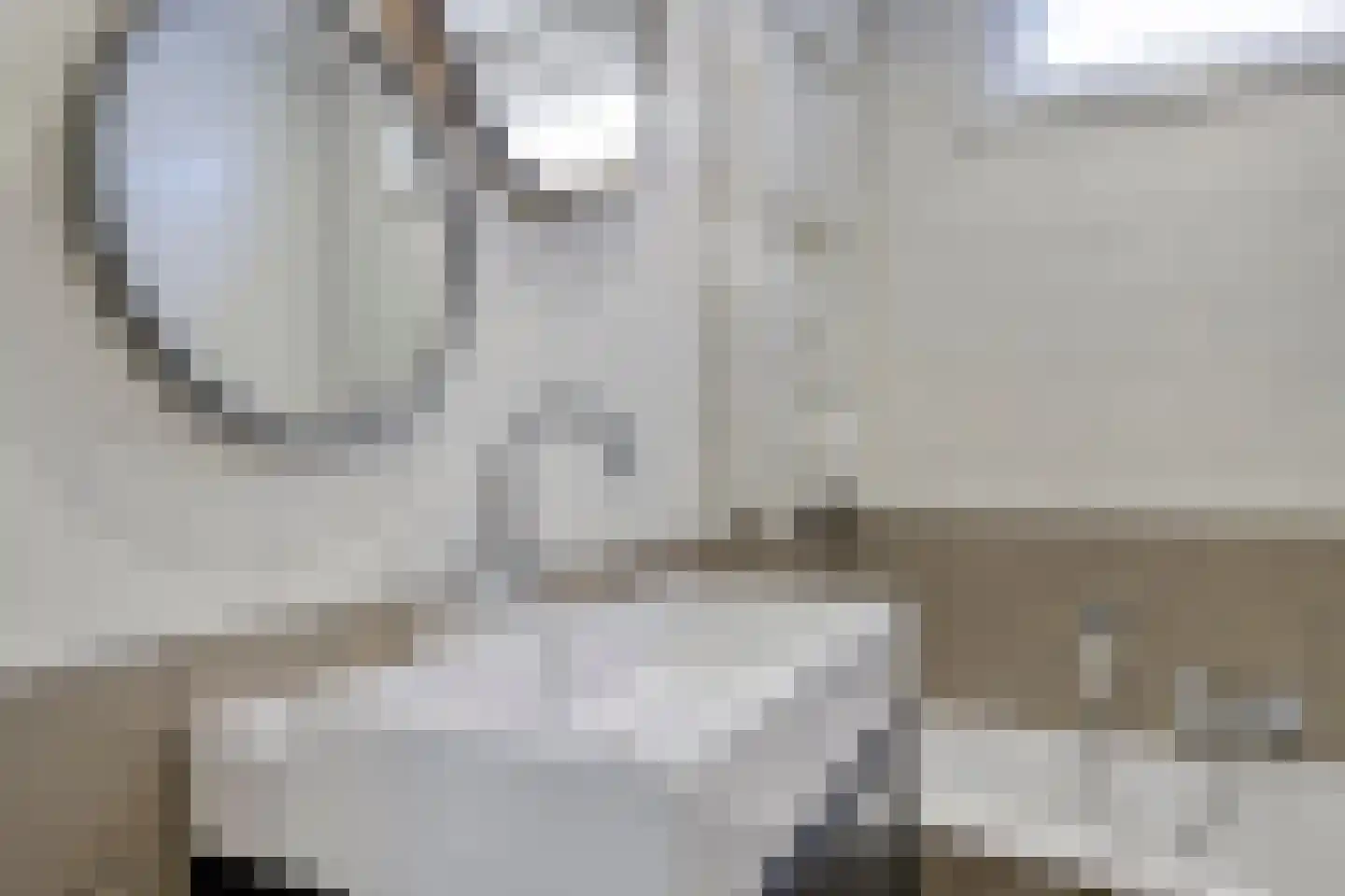 Akkerwinde 55 Best thumbnail 37