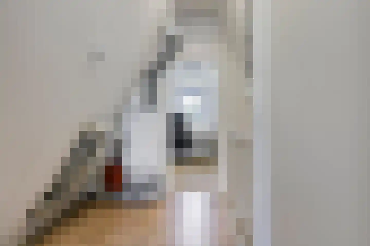 Akkerwinde 55 Best thumbnail 43
