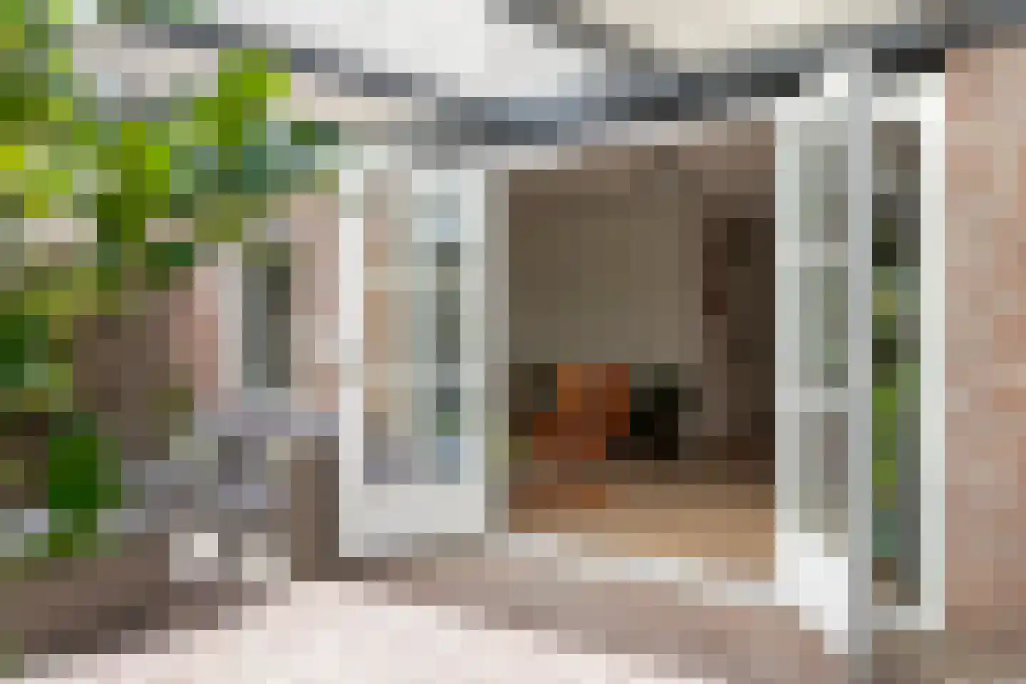 Akkerwinde 55 Best thumbnail 49