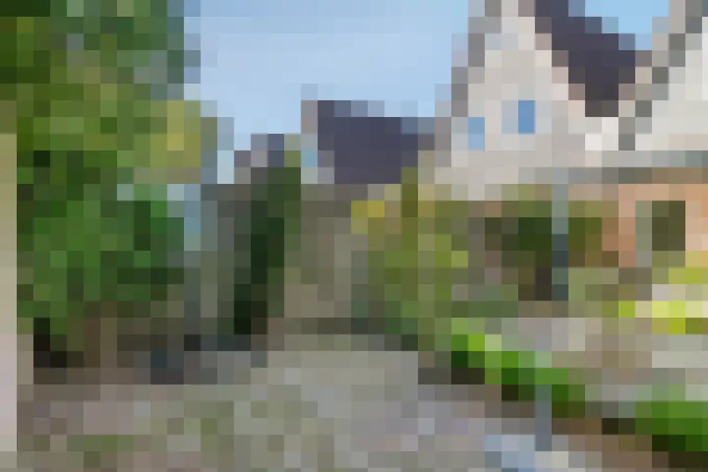 Akkerwinde 55 Best thumbnail 54