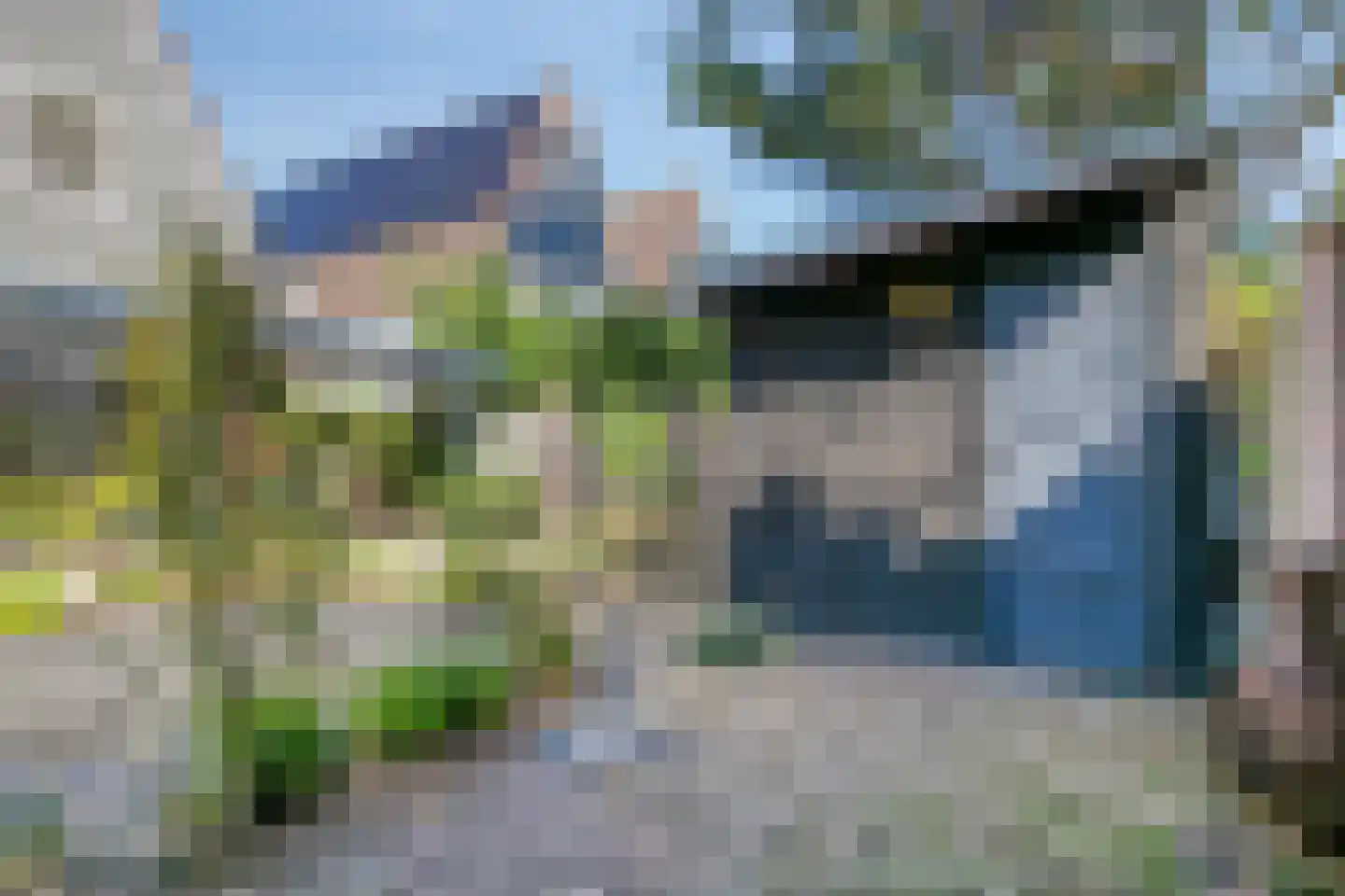 Akkerwinde 55 Best thumbnail 55