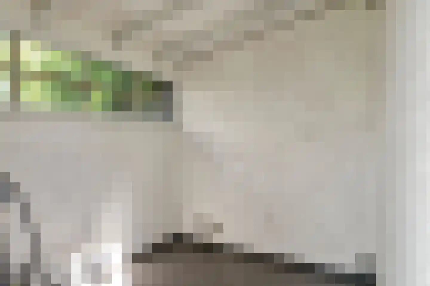 Akkerwinde 55 Best thumbnail 56