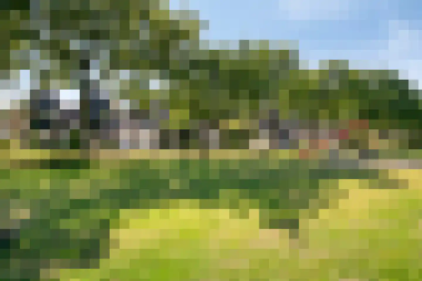 Akkerwinde 55 Best thumbnail 57
