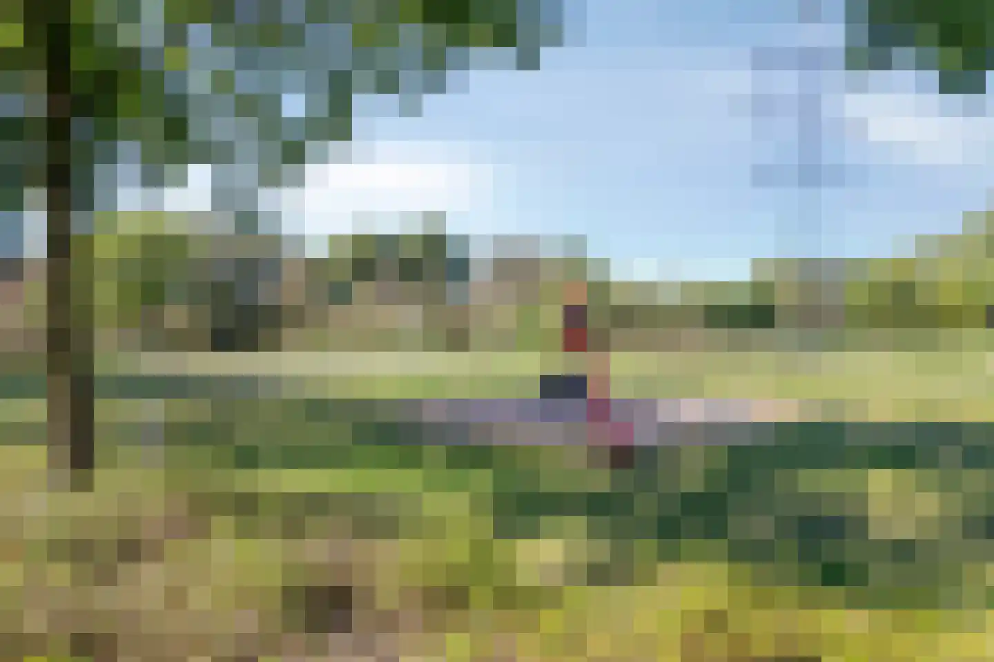 Akkerwinde 55 Best thumbnail 58