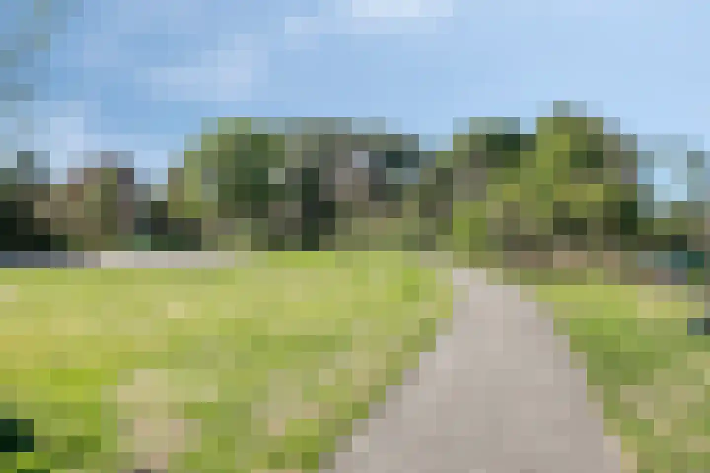 Akkerwinde 55 Best thumbnail 59