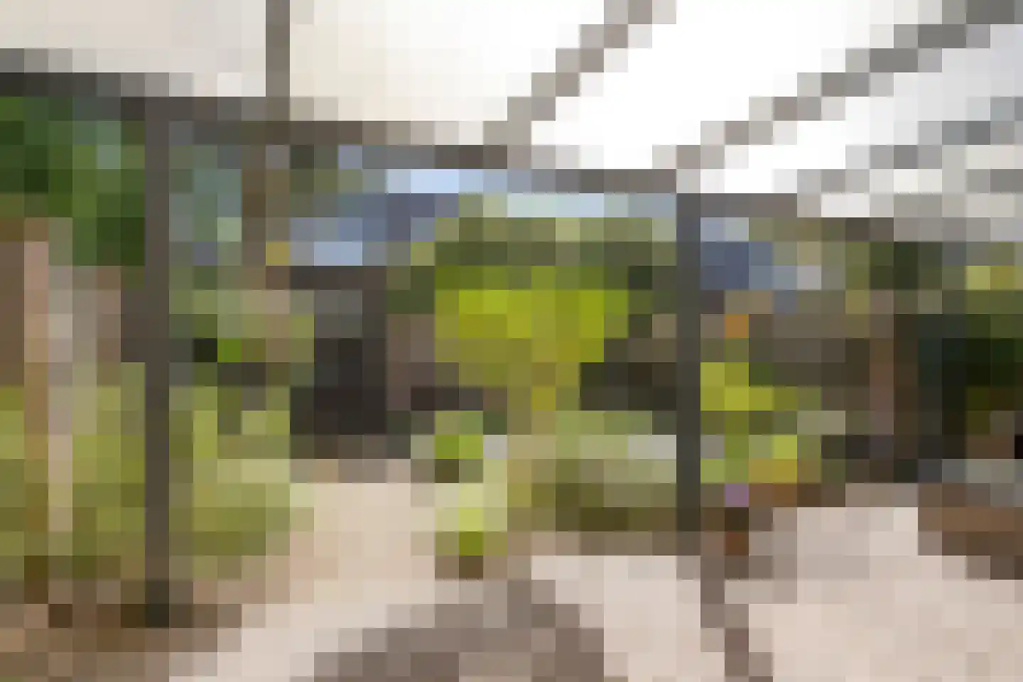 Akkerwinde 55 Best thumbnail 6
