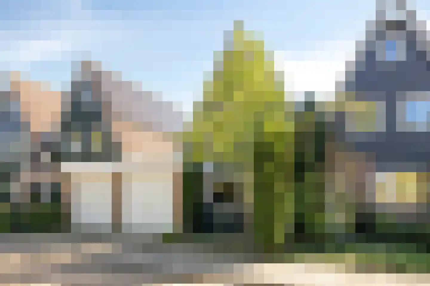 Akkerwinde 55 Best thumbnail 7