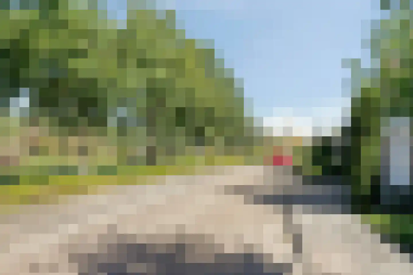 Akkerwinde 55 Best thumbnail 8
