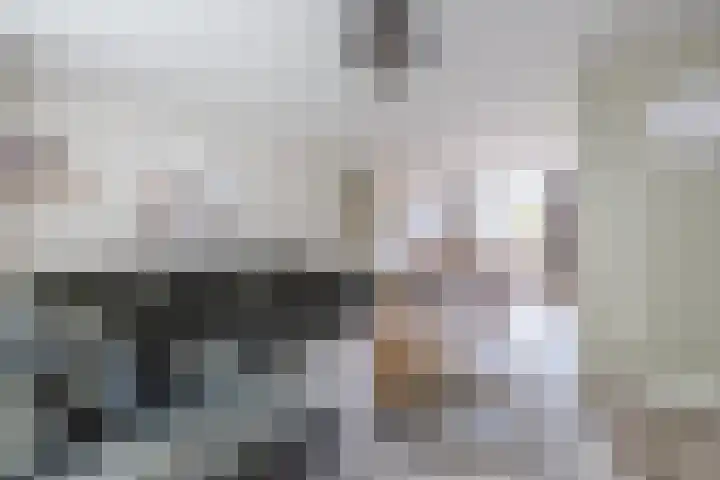 Akkerwinde 55 Hapert thumbnail 6