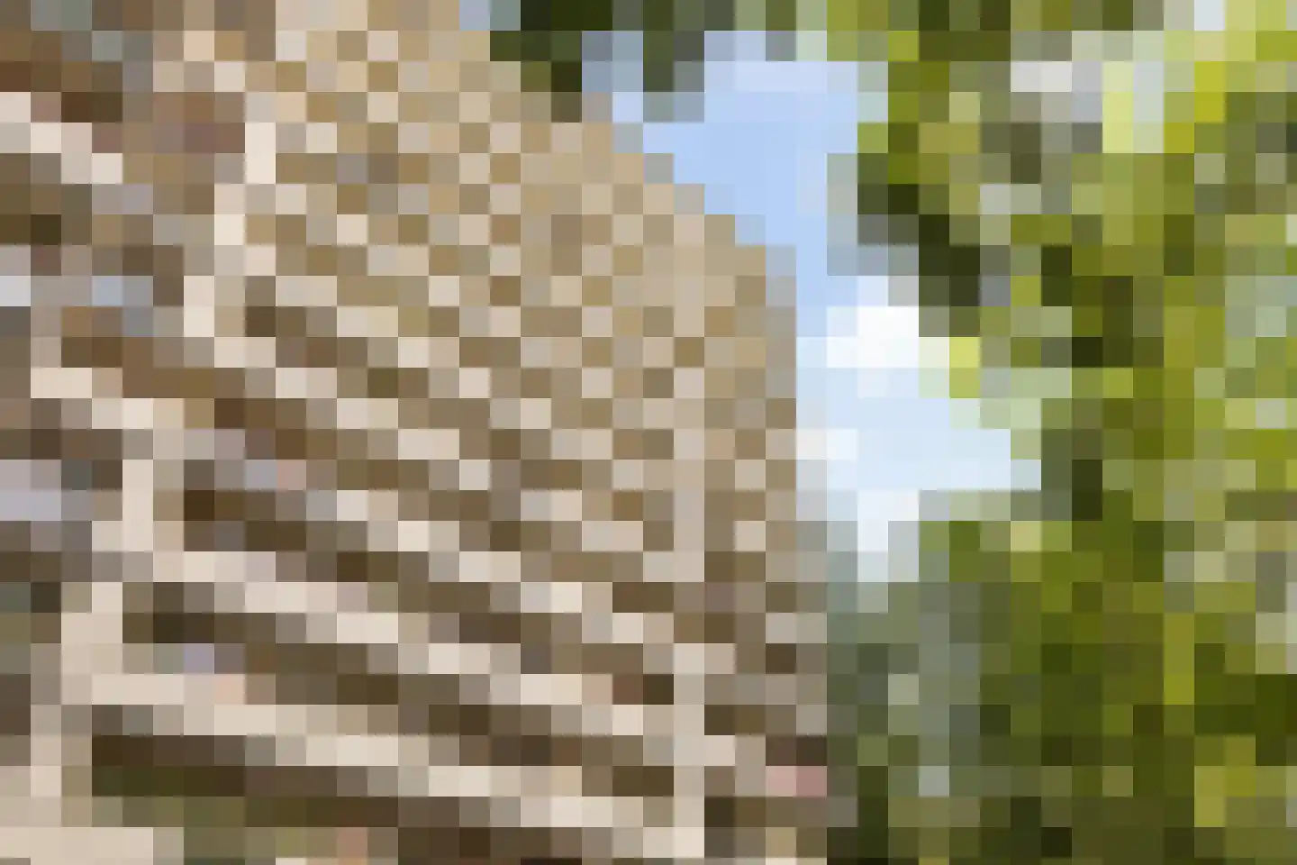 Akkerwinde 56 Capelle aan den IJssel thumbnail 39