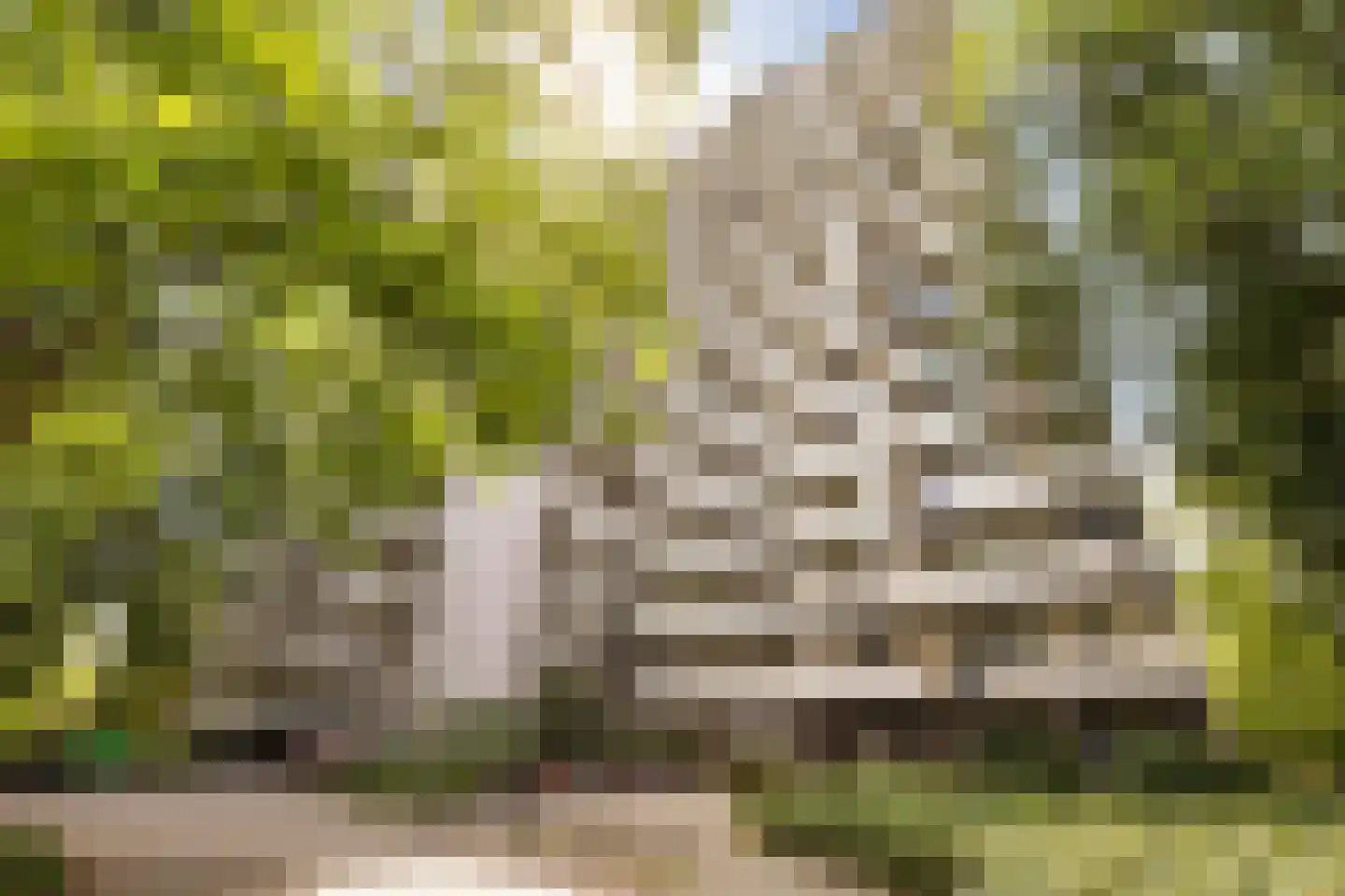 Akkerwinde 56 Capelle aan den IJssel thumbnail 5